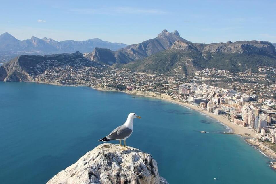 Apartamento Arenal 5 - Plusholidays Calpe Luaran gambar